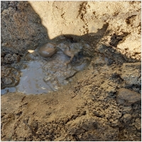 강원수도설비누수탐지누수 PC 갤러리 0